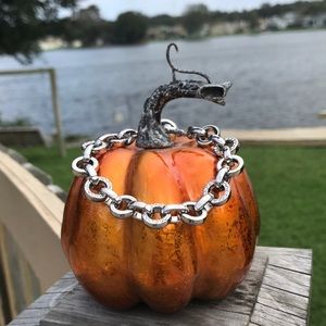 Beautiful Coco Silver Link Bracelet. NWT.